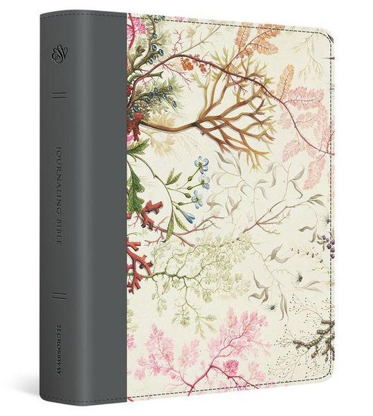 Produktbild: ESV Journaling Bible