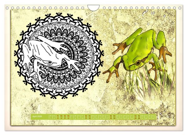 Produktbild: Mandalas 2026 - Beruhigende Momente (Wandkalender 2026 DIN A4 quer), CALVENDO Monatskalender