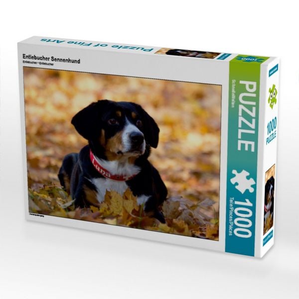 CALVENDO Puzzle Entlebucher Sennenhund | 1000 Teile Lege-Größe 64 × 48 cm Foto-Puzzle für glückliche Stunden