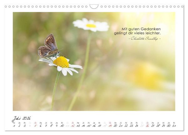 Produktbild: Mit guten Gedanken durch das Jahr (Wandkalender 2026 DIN A3 quer), CALVENDO Monatskalender
