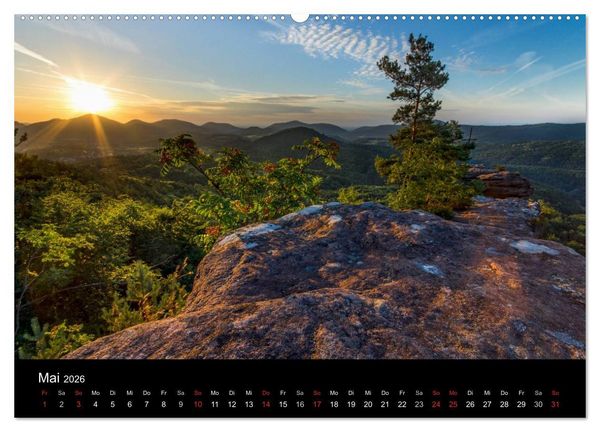 Produktbild: Mystischer Pf&auml;lzer Wald (hochwertiger Premium Wandkalender 2026 DIN A2 quer), Kunstdruck in Hochglanz
