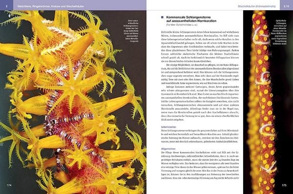 Produktbild: Nano-Riffaquarien