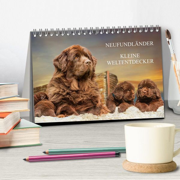 Produktbild: Neufundl&auml;nder - Kleine Weltentdecker (Tischkalender 2026 DIN A5 quer), CALVENDO Monatskalender