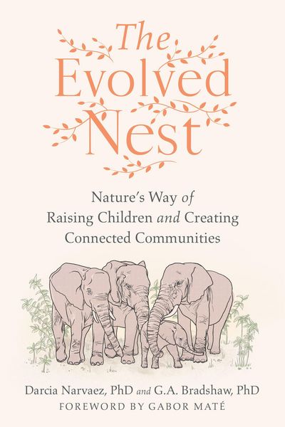 Produktbild: The Evolved Nest