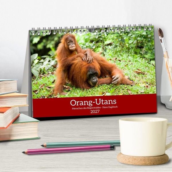 Produktbild: Orang-Utans - Menschen des Regenwaldes (Tischkalender 2027 DIN A5 quer), CALVENDO Monatskalender