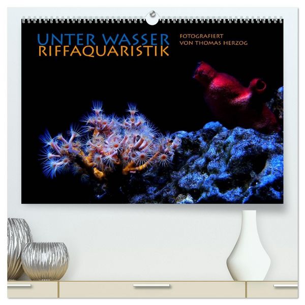 Produktbild: UNTER WASSER Riffaquaristik (hochwertiger Premium Wandkalender 2026 DIN A2 quer), Kunstdruck in Hochglanz