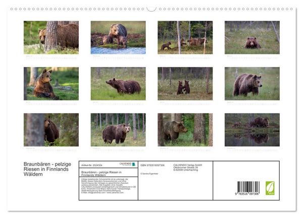 Produktbild: Braunb&auml;ren - pelzige Riesen in Finnlands W&auml;ldern (hochwertiger Premium Wandkalender 2026 DIN A2 quer), Kunstdruck in Hochglanz