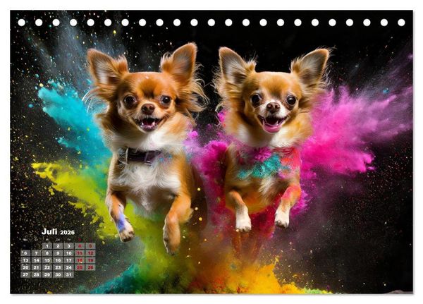 Produktbild: Holi Pulver - Doppelte Action (Tischkalender 2026 DIN A5 quer), CALVENDO Monatskalender