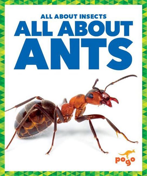 Produktbild: All about Ants