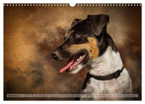 Produktbild: Jagdhunde im Portrait (Wandkalender 2026 DIN A3 quer), CALVENDO Monatskalender
