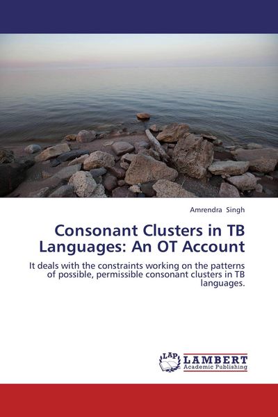 Produktbild: Consonant Clusters in TB Languages: An OT Account