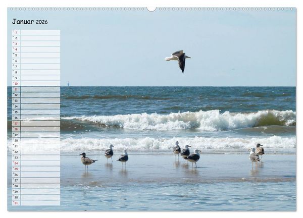 Produktbild: Egmond aan Zee (Wandkalender 2026 DIN A2 quer), CALVENDO Monatskalender