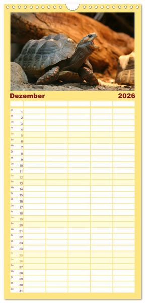 Produktbild: Familienplaner 2026 - Schildkr&ouml;ten - Gepanzerte Urzeitwesen mit 5 Spalten (Wandkalender, 21 x 45 cm) CALVENDO
