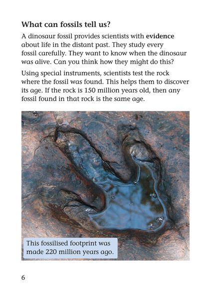 Produktbild: Why did dinosaurs become extinct?