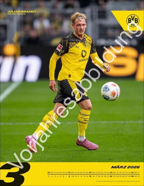 Produktbild: BVB Posterkalender 2027