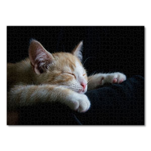 Produktbild: Lais Puzzle Katze 1000 Teile
