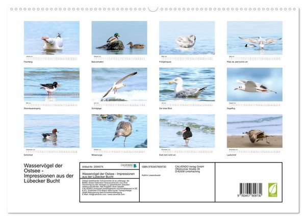 Produktbild: Wasserv&ouml;gel der Ostsee - Impressionen aus der L&uuml;becker Bucht (hochwertiger Premium Wandkalender 2026 DIN A2 quer), Kunstdruck in Hochglanz