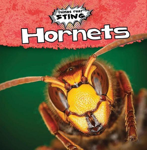 Produktbild: Hornets