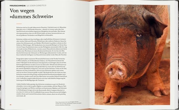 Produktbild: Was Tiere denken