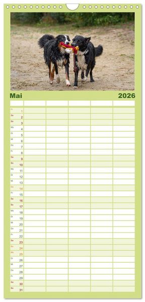 Produktbild: Familienplaner 2026 - Hunde Action mit 5 Spalten (Wandkalender, 21 x 45 cm) CALVENDO