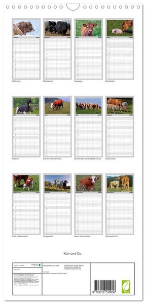 Produktbild: Familienplaner 2026 - Kuh und Co. mit 5 Spalten (Wandkalender, 21 x 45 cm) CALVENDO