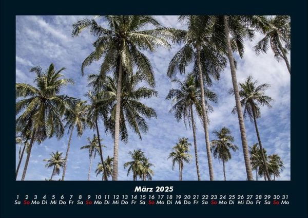 Produktbild: Palmentraum 2025 Fotokalender DIN A4
