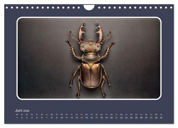 Produktbild: Roboterinsekten (Wandkalender 2026 DIN A4 quer), CALVENDO Monatskalender