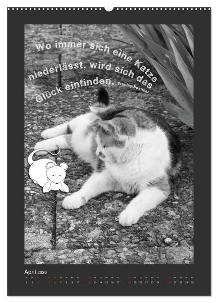 Produktbild: Katz & Maus (Wandkalender 2026 DIN A2 hoch), CALVENDO Monatskalender