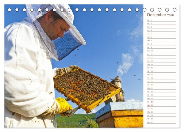 Produktbild: S&uuml;&szlig;es Gold: Imker, Bienen & Honig (Tischkalender 2026 DIN A5 quer), CALVENDO Monatskalender