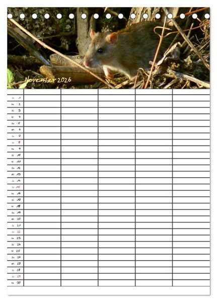 Produktbild: Bauernhoftiere Familienplaner (Tischkalender 2026 DIN A5 hoch), CALVENDO Monatskalender