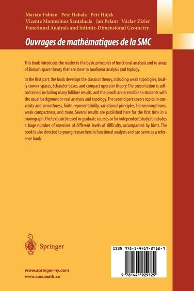 Produktbild: Functional Analysis and Infinite-Dimensional Geometry