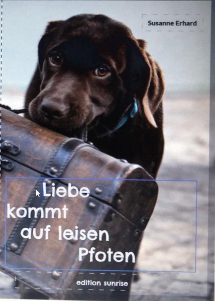 Produktbild: Liebe kommt auf leisen Pfoten
