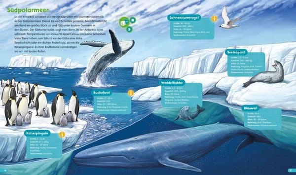 Produktbild: BOOKii&reg; H&ouml;ren und Staunen Im Meer und an der K&uuml;ste