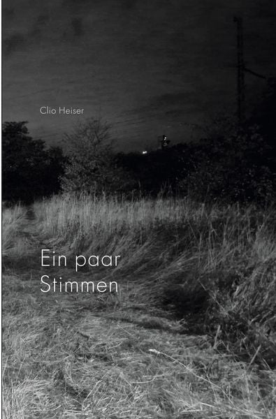 Produktbild: Ein paar Stimmen