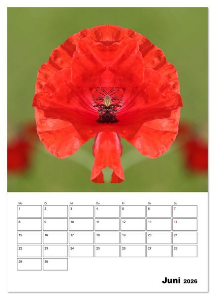 Produktbild: Fotokunst und Natur 2026 (Wandkalender 2026 DIN A4 hoch), CALVENDO Monatskalender