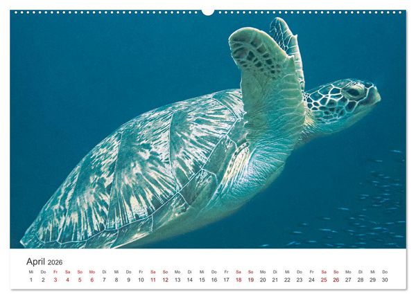 Produktbild: Faszination blaue Welt (hochwertiger Premium Wandkalender 2026 DIN A2 quer), Kunstdruck in Hochglanz