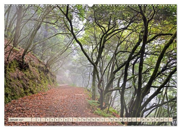 Produktbild: Magic Moments - LA PALMA (Wandkalender 2027 DIN A2 quer), CALVENDO Monatskalender
