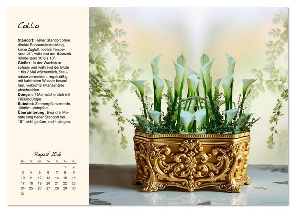 Produktbild: Bl&uuml;tenpracht am Fenster (Wandkalender 2026 DIN A3 quer), CALVENDO Monatskalender
