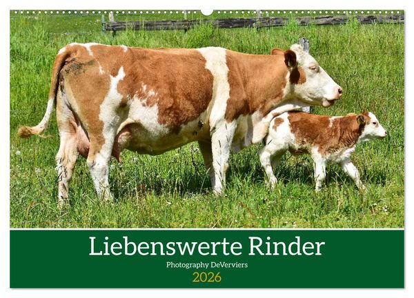Liebenswerte Rinder (Wandkalender 2026 DIN A2 quer), CALVENDO Monatskalender