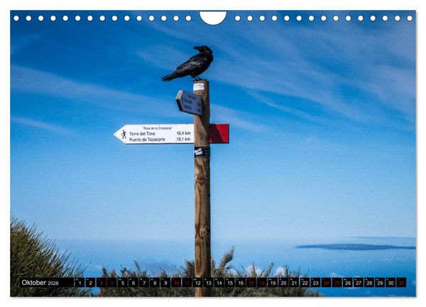 Produktbild: Natur pur erleben auf La Palma (Wandkalender 2026 DIN A4 quer), CALVENDO Monatskalender