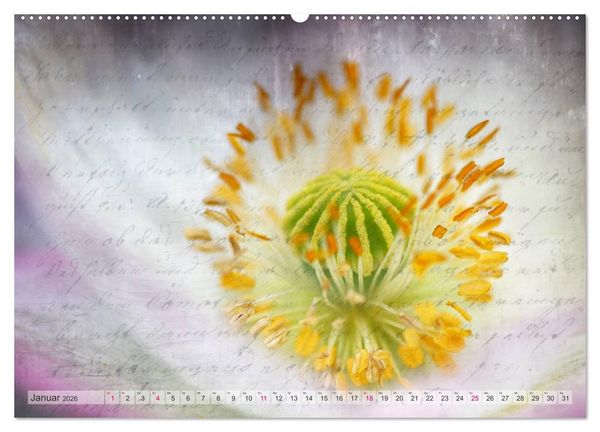 Produktbild: Vintage Nature - Romantische Naturaufnahmen (Wandkalender 2026 DIN A2 quer), CALVENDO Monatskalender