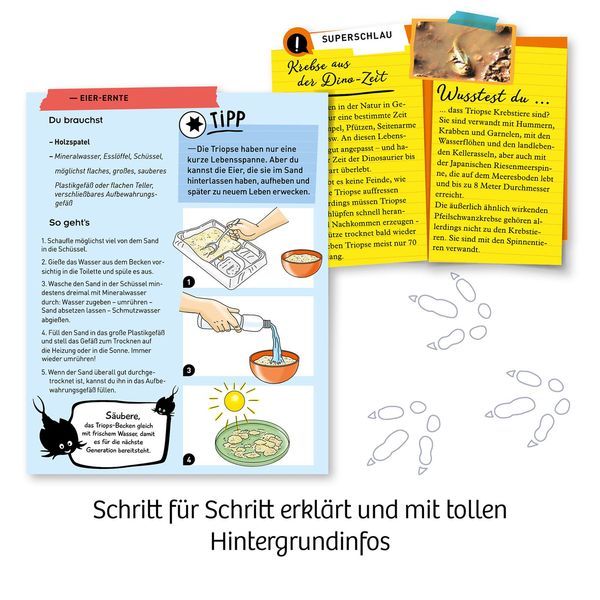 Produktbild: Fun Science Triops z&uuml;chten