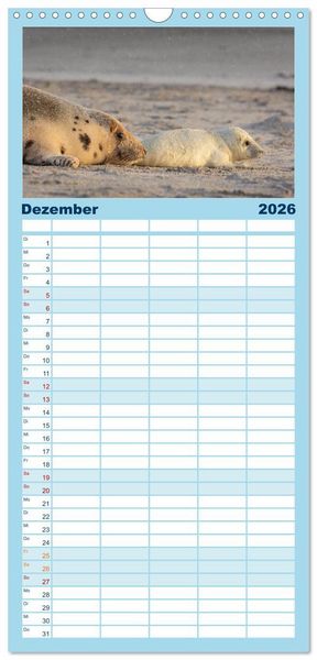 Produktbild: Familienplaner 2026 - Junge Kegelrobben mit 5 Spalten (Wandkalender, 21 x 45 cm) CALVENDO