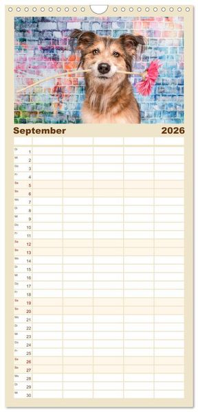Produktbild: Familienplaner 2026 - Cool Dogs - Hunde-Spa&szlig; im Studio mit 5 Spalten (Wandkalender, 21 x 45 cm) CALVENDO