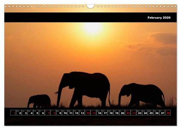 Produktbild: Elephants of Botswana (Wall Calendar 2026 DIN A3 landscape), CALVENDO 12 Month Wall Calendar