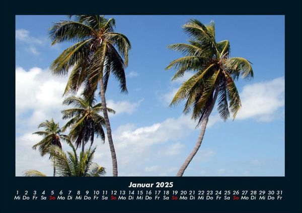 Produktbild: Palmentraum 2025 Fotokalender DIN A4