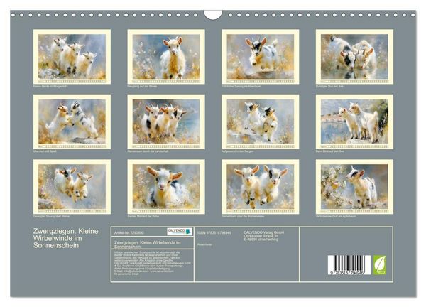 Produktbild: Zwergziegen. Kleine Wirbelwinde im Sonnenschein (Wandkalender 2027 DIN A3 quer), CALVENDO Monatskalender