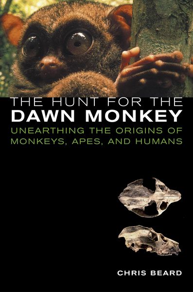 Produktbild: The Hunt for the Dawn Monkey