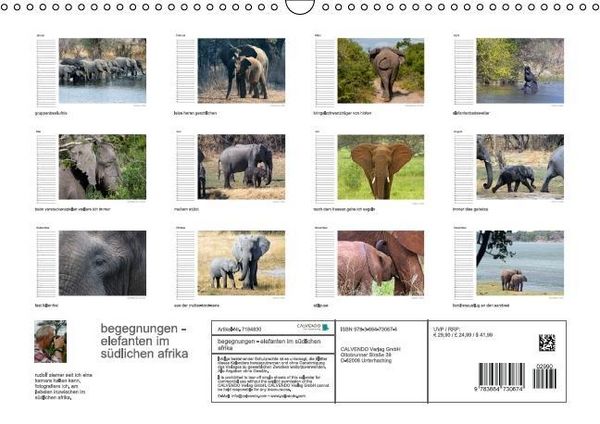 Produktbild: begegnungen - elefanten im s&uuml;dlichen afrika (Wandkalender immerw&auml;hrend DIN A3 quer)