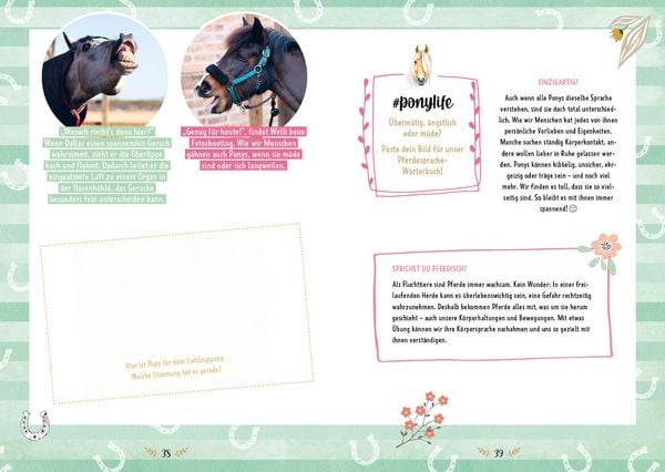 Produktbild: # ponylife &ndash; Mein Pferde-Mitmach-Journal von den Social-Media-Stars Lia und Lea